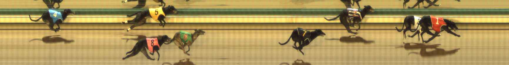Photo finish for The Meadows Race 11