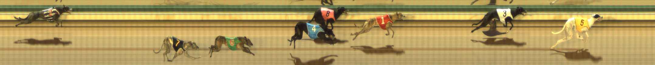 Photo finish for The Meadows Race 12