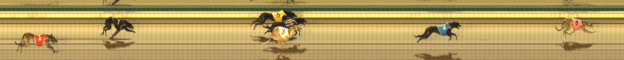 Photo finish for The Meadows Race 1