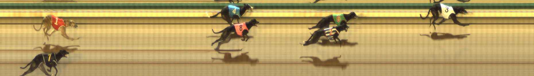 Photo finish for The Meadows Race 2