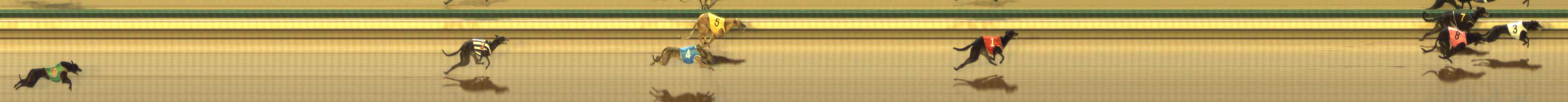 Photo finish for The Meadows Race 3