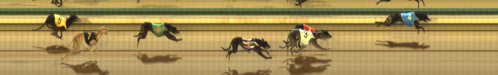 Photo finish for The Meadows Race 4