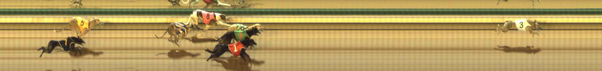 Photo finish for The Meadows Race 5