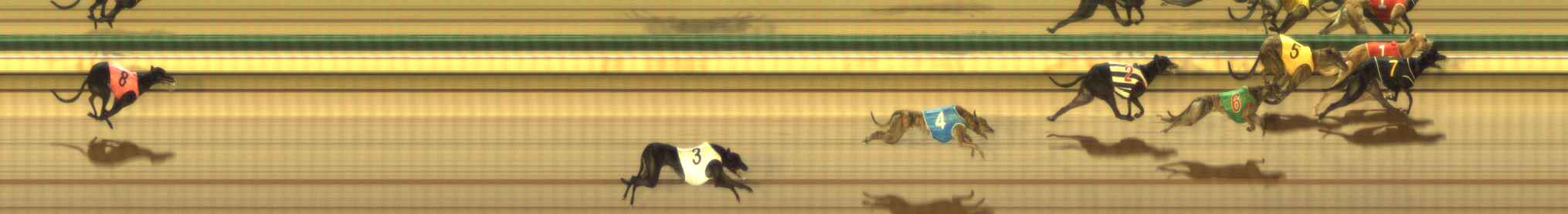 Photo finish for The Meadows Race 6