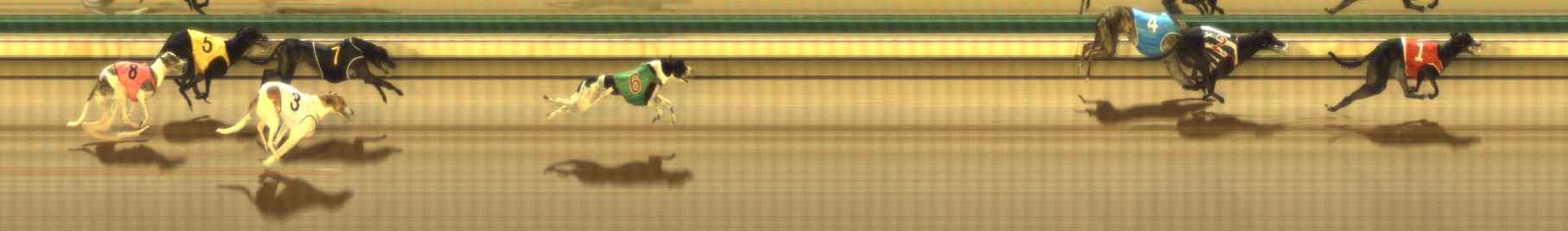 Photo finish for The Meadows Race 7