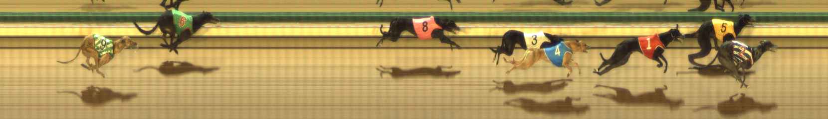 Photo finish for The Meadows Race 8