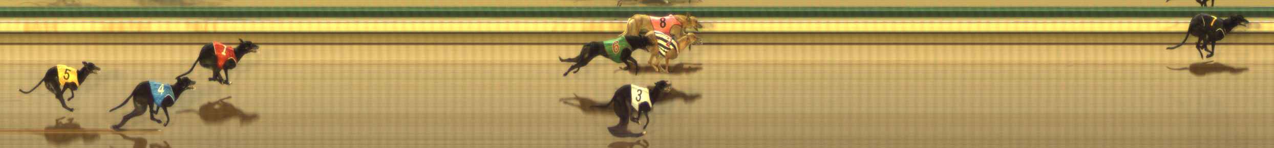 Photo finish for The Meadows Race 9