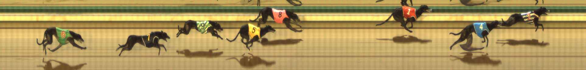 Photo finish for The Meadows Race 10