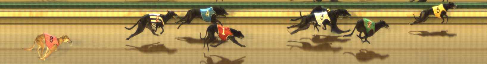 Photo finish for The Meadows Race 11