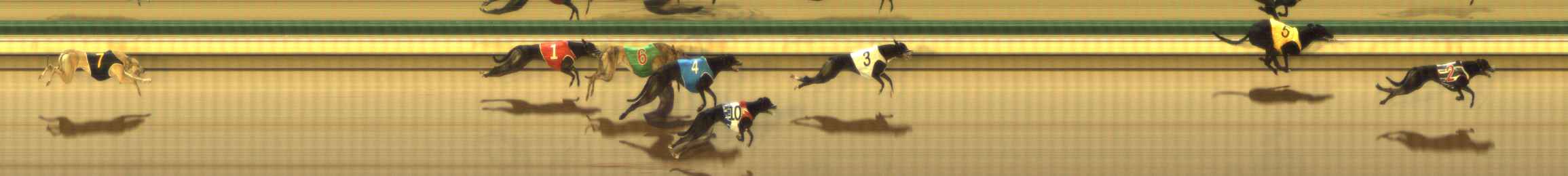 Photo finish for The Meadows Race 12