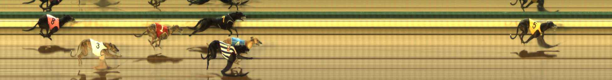 Photo finish for The Meadows Race 1