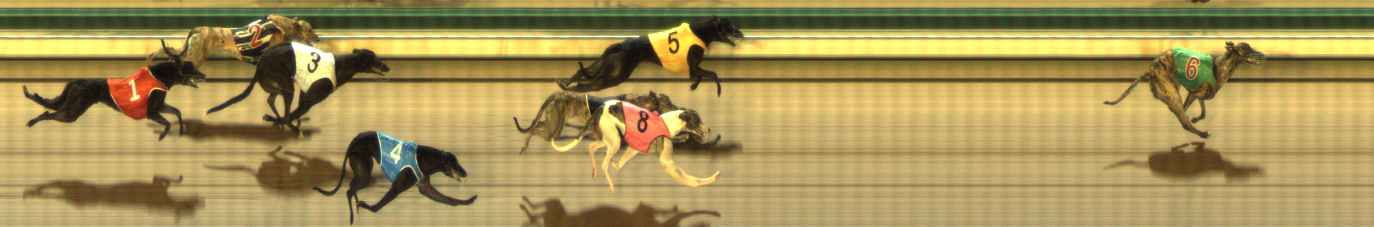 Photo finish for The Meadows Race 2