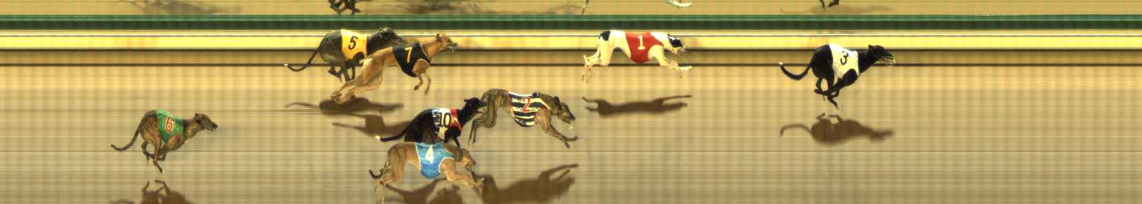 Photo finish for The Meadows Race 3