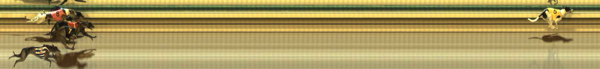 Photo finish for The Meadows Race 4
