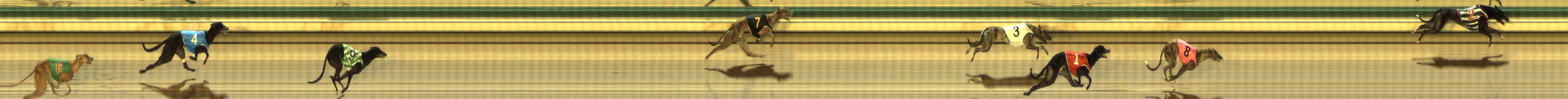 Photo finish for The Meadows Race 6