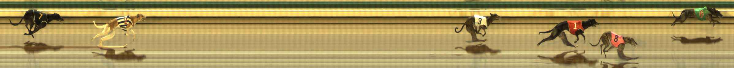 Photo finish for The Meadows Race 7