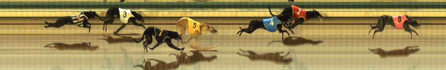 Photo finish for The Meadows Race 8