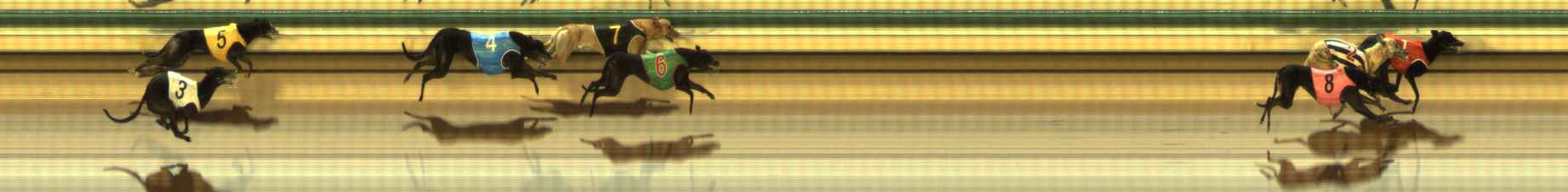 Photo finish for The Meadows Race 9