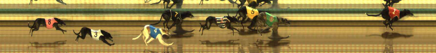 Photo finish for The Meadows Race 10