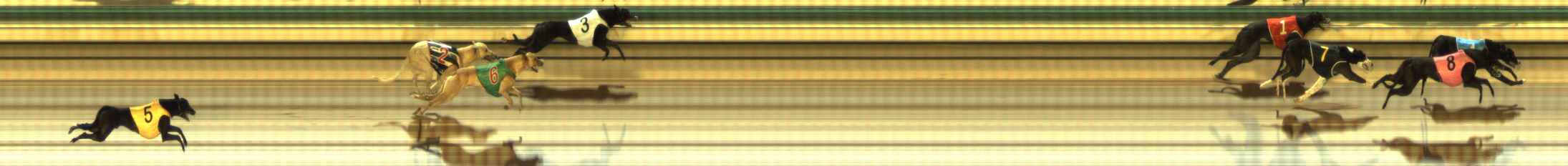 Photo finish for The Meadows Race 11