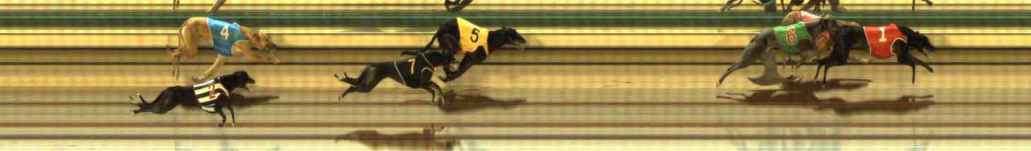 Photo finish for The Meadows Race 12