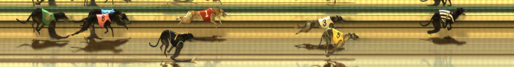 Photo finish for The Meadows Race 5