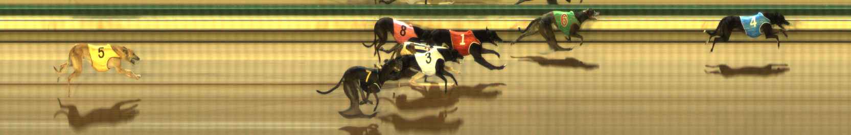 Photo finish for The Meadows Race 1