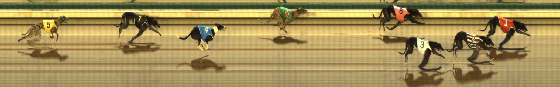 Photo finish for The Meadows Race 2