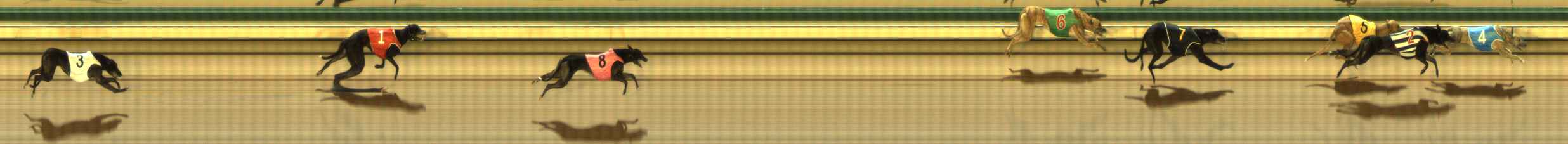 Photo finish for The Meadows Race 3