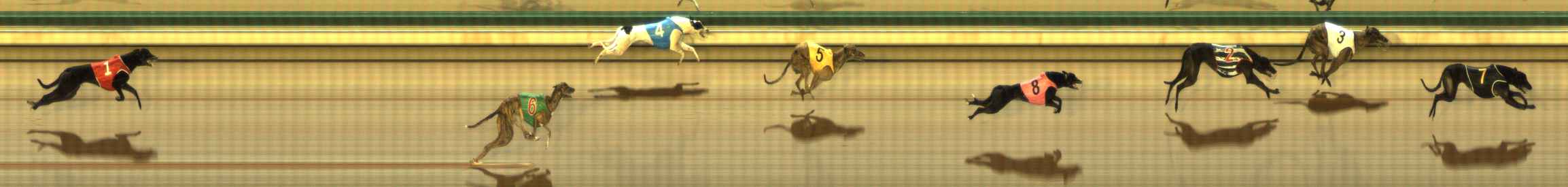 Photo finish for The Meadows Race 4