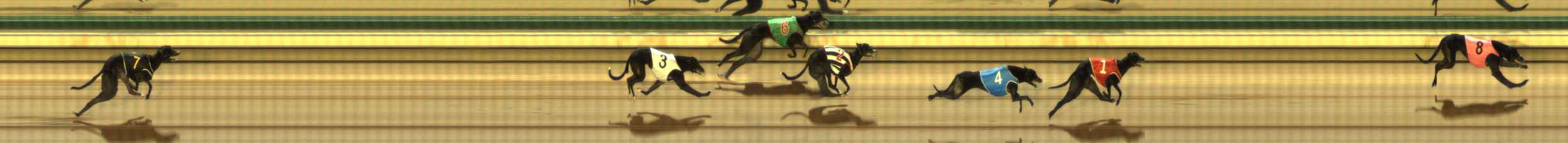 Photo finish for The Meadows Race 5