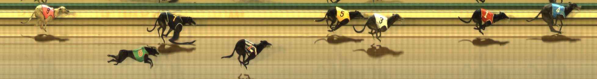 Photo finish for The Meadows Race 6