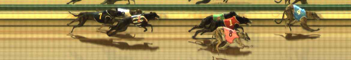 Photo finish for The Meadows Race 7