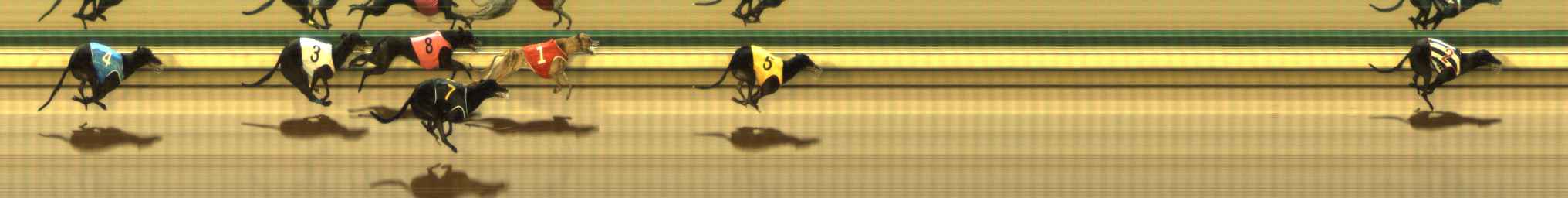 Photo finish for The Meadows Race 9