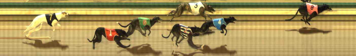 Photo finish for The Meadows Race 10