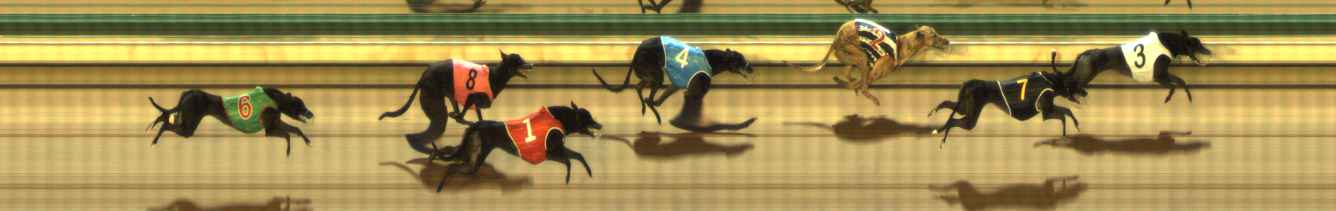 Photo finish for The Meadows Race 12