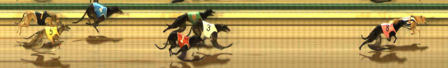 Photo finish for The Meadows Race 1