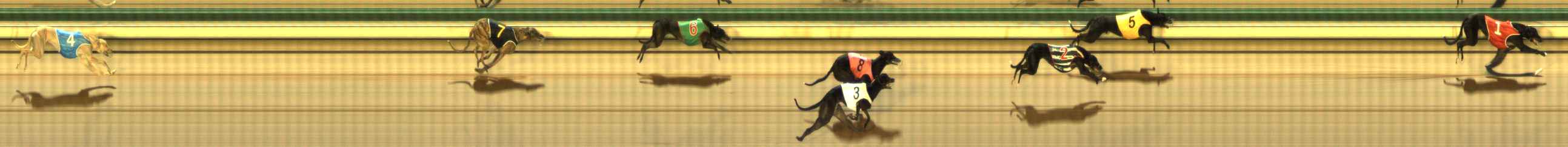 Photo finish for The Meadows Race 2