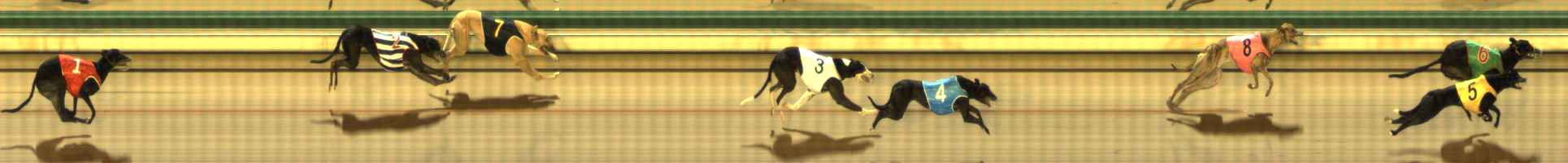 Photo finish for The Meadows Race 5