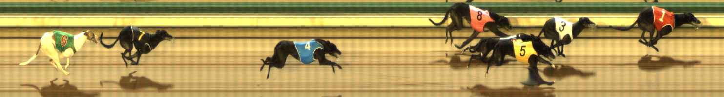 Photo finish for The Meadows Race 6