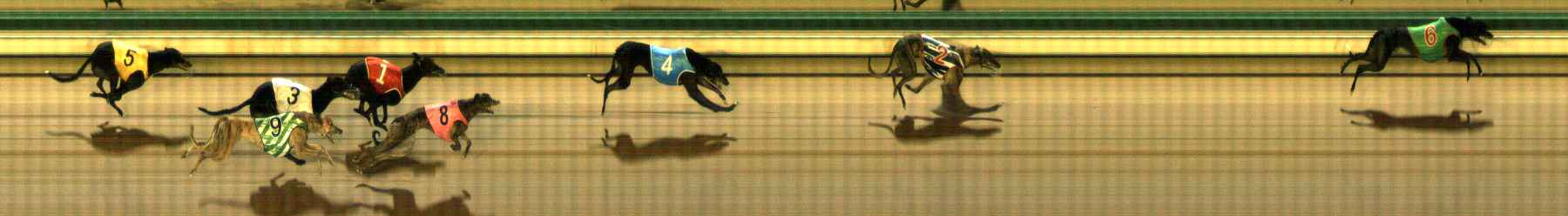 Photo finish for The Meadows Race 7