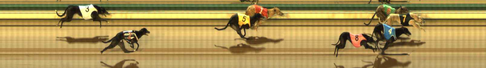 Photo finish for The Meadows Race 8