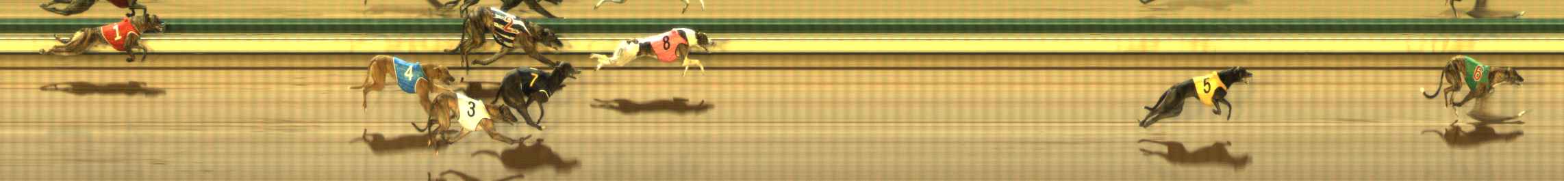 Photo finish for The Meadows Race 9