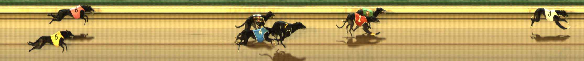 Photo finish for The Meadows Race 10