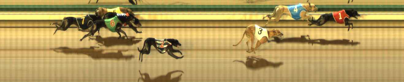 Photo finish for The Meadows Race 11