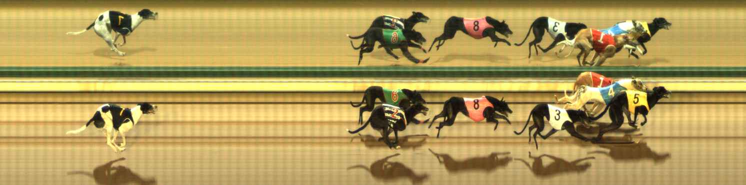 Photo finish for The Meadows Race 12