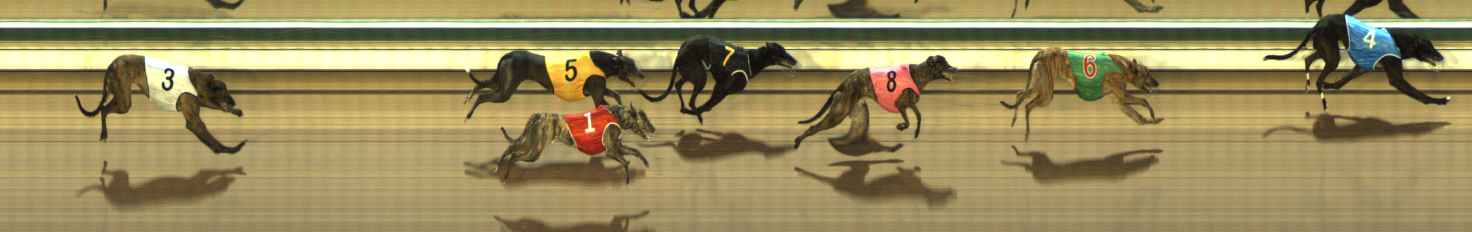 Photo finish for The Meadows Race 2