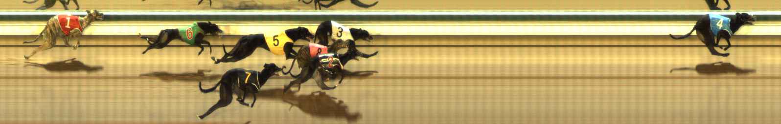 Photo finish for The Meadows Race 3