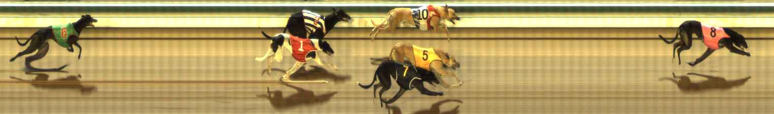 Photo finish for The Meadows Race 4