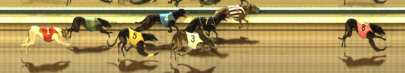 Photo finish for The Meadows Race 5